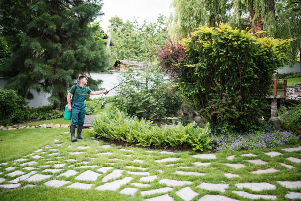 Best Wasp Removal Services  in Old Fig Garden, CA