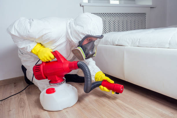 Best Affordable Pest Control Services  in Old Fig Garden, CA